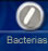Bacterias