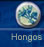 Hongos